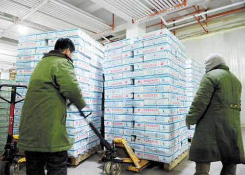 Latest company Solutions about Kho lạnh