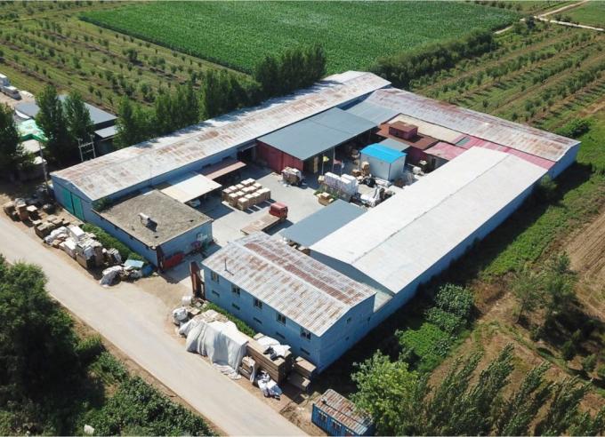 Quality Wooden Euro Pallet / Epal Pallet, Pallet Elements Plastic Pallets