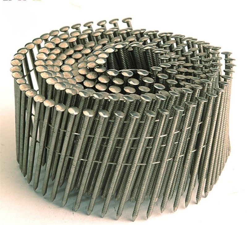 0.083 * 2 Inch Galvanized Coil Nail Sợi sợi sợi sợi sợi sợi sợi sợi sợi sợi sợi sợi sợi sợi sợi sợi sợi sợi sợi sợi sợi sợi sợi